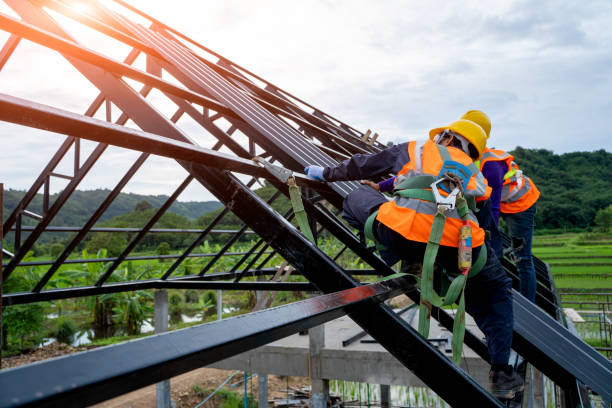 Best Roof Waterproofing Services  in Elleale, ND
