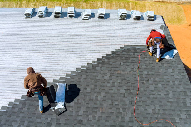 Best Roof Repair Services  in Elleale, ND