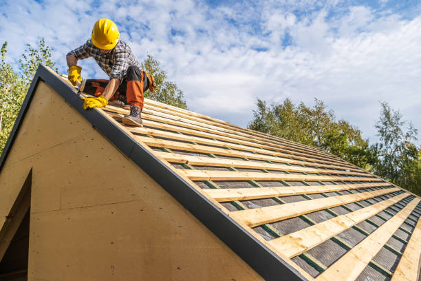 Best Roof Restoration Services  in Elleale, ND