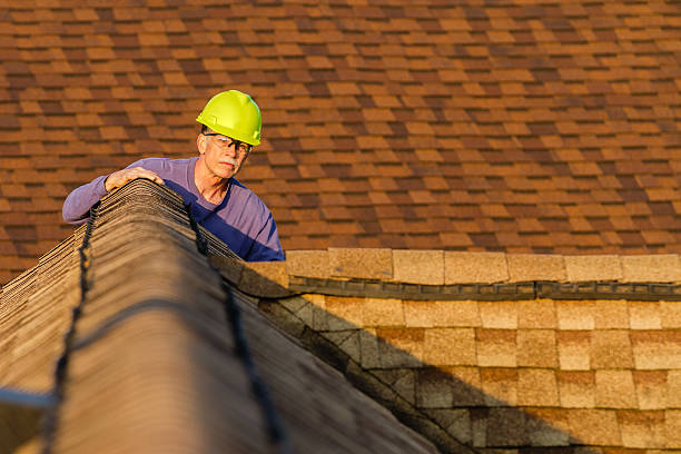 Best Emergency Roof Repair  in Elleale, ND
