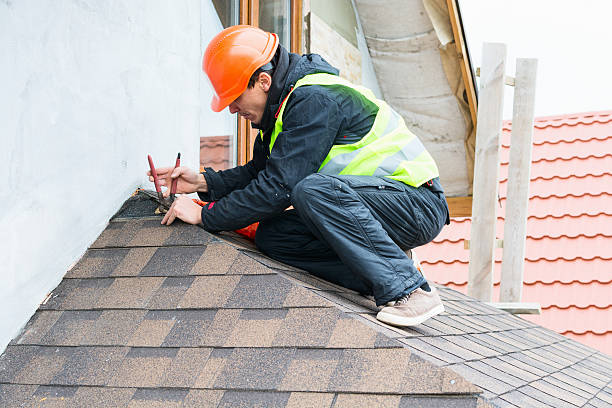 Best Roof Repair Specialists  in Elleale, ND