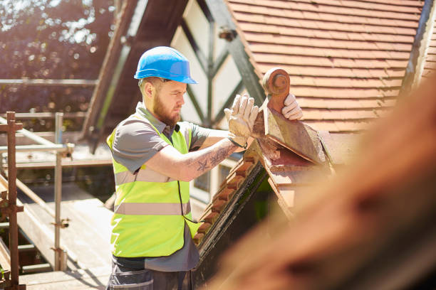 Best Roof Gutter Cleaning  in Elleale, ND