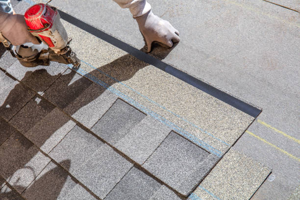 Best Local Roofing Companies  in Elleale, ND